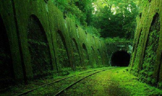 Ligne_Petite_Ceinture_Paris