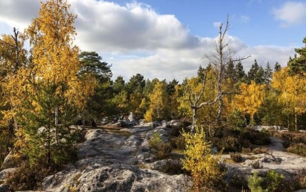 fontainebleau