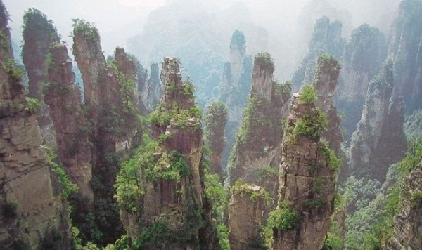 Les plus belles forêts du monde