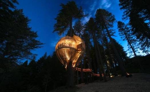 Restaurant treehouse